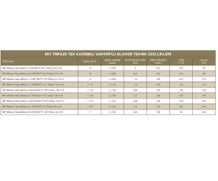 MIT BLOWER HAVA MOTORU 0,7 KW B3TT-107 TRİFAZE 100 M3/H