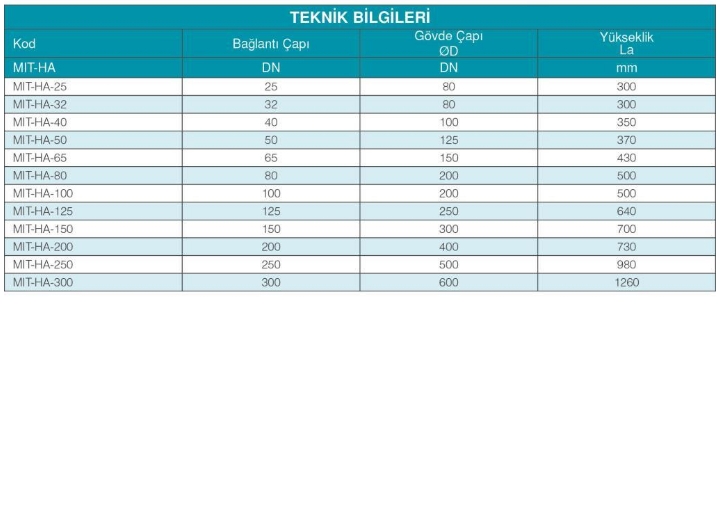 MIT HAVA AYIRICI DN25 DİŞLİ